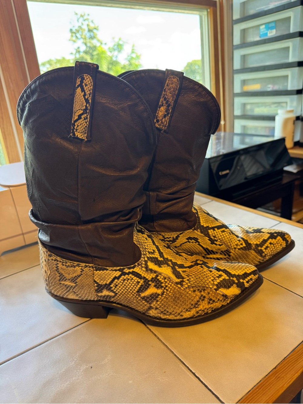 dingo Black Shaft Yellow Snake-Print Cowboy Boots - Picture 3 of 10